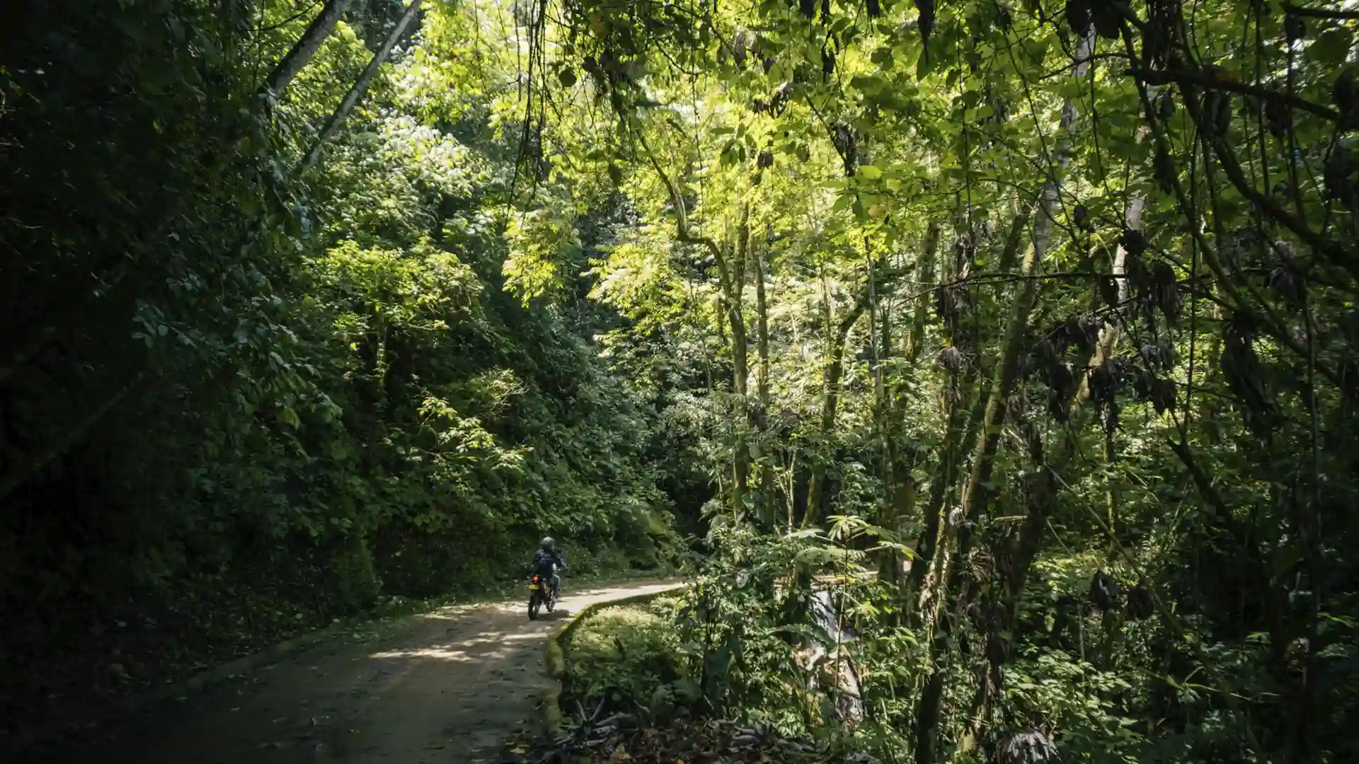 tours a minca en santa marta 10
